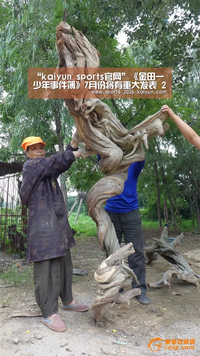 kaiyun体育网页版登录